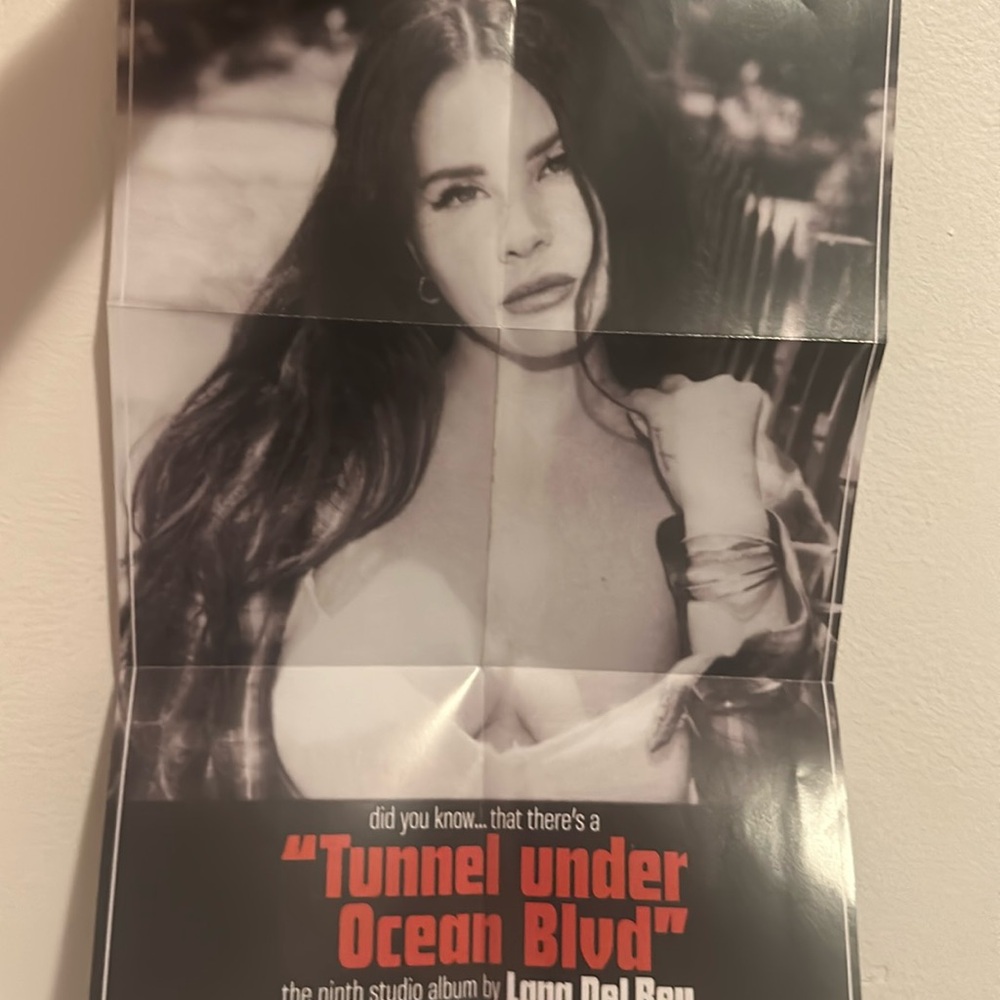Did you know that there’s a tunnel under Ocean Blvd by Lana Del Rey ( POSTER)
